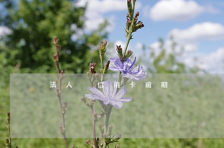 法人 信用卡逾期 法人 信用卡逾期